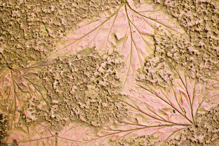 The Beauty of Natural Texture